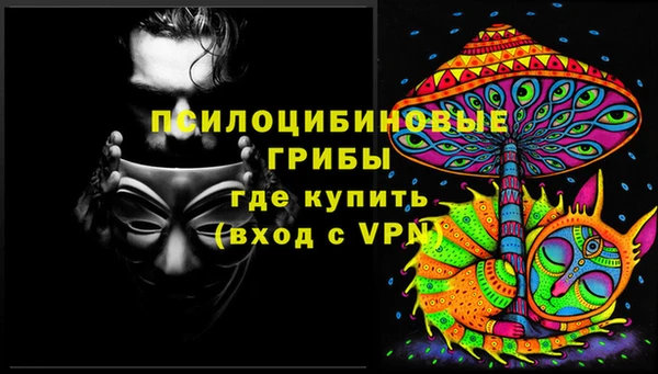 крисы Вяземский