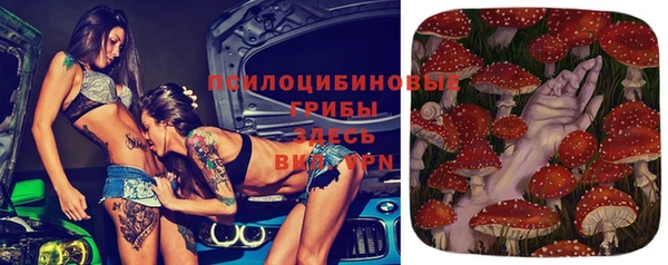 крисы Вяземский
