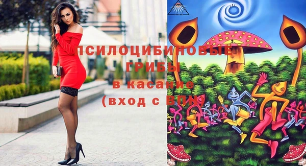крисы Вяземский