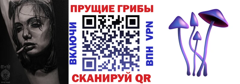 Купить закладки  Энем  Псилоцибиновые грибы Cubensis 