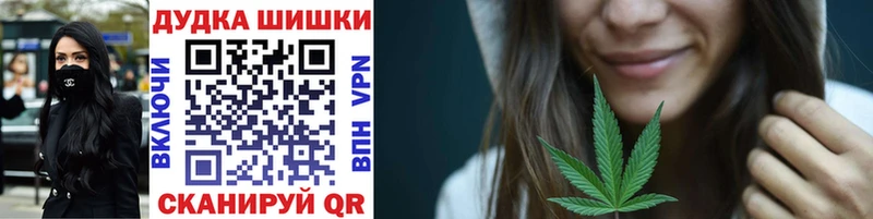 Бошки Шишки планчик  Купить  Энем 